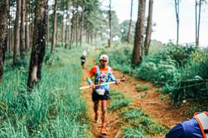 BIB: 
                            <button type="button" onclick="openModal(25654968)" class="btn btn-primary btn-sm float-right btn-popup" data-toggle="modal" data-target=".modal-high-quality">
                        <i class="fas fa-shopping-cart"></i> Add to Cart
                    </button>
                                            <button type="button" onclick="isThisMe(25654968, true)" class="btn btn-success btn-sm float-right btn-popup btn-isme hidden" data-toggle="tooltip" data-placement="bottom" title="นี่คือรูปของคุณใช่ไหม คลิกที่นี่เพื่อเอาเข้าอัลบั้ม">
                        <i class="fas fa-plus"></i> Add to album
                    </button>
                    <button type="button" onclick="isThisMe(25654968, false)" class="btn btn-warning btn-sm float-right btn-popup btn-isnotme hidden">
                        <i class="fas fa-ban"></i> Remove from album
                    </button>